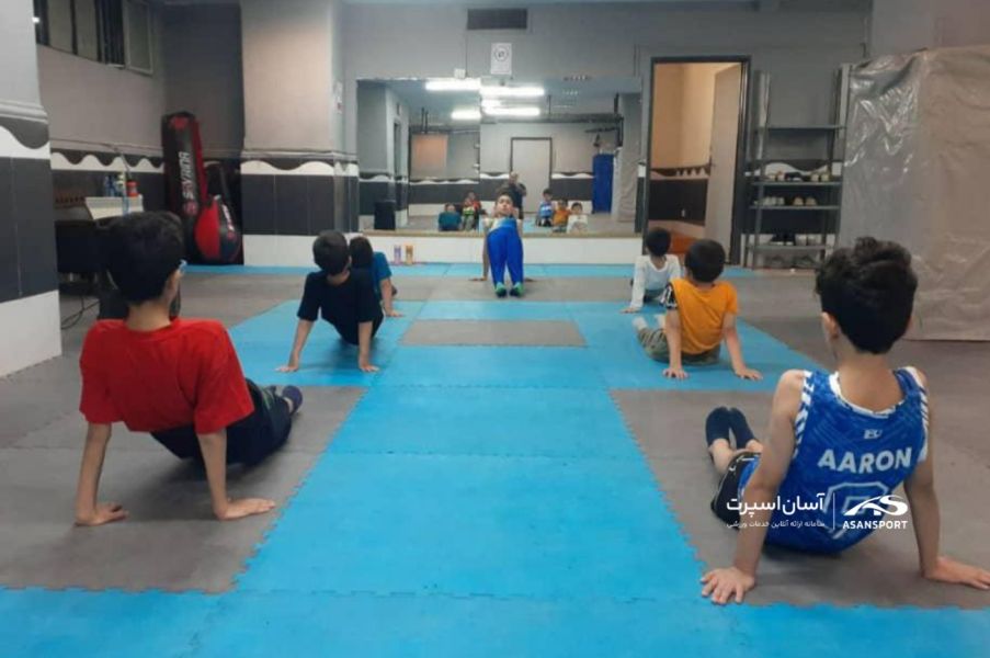 تصویر کلاس ژیمناستیک آیدین نیک خواه بهرامی تهران