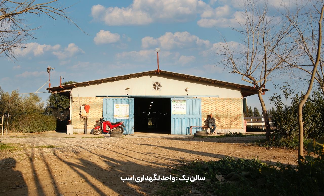 تصویر باشگاه سوارکاری شکوه طبیعت گرگان