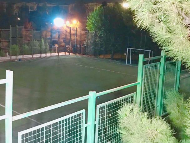 تصویر زمین چمن مصنوعی ویلا شهر قدیمی تهران