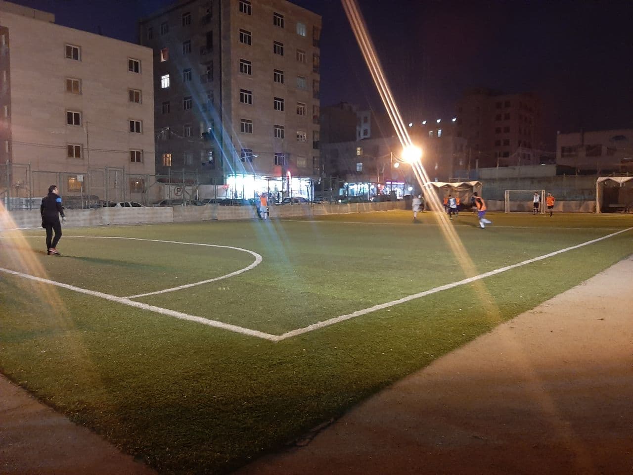 چمن مصنوعی ارم2