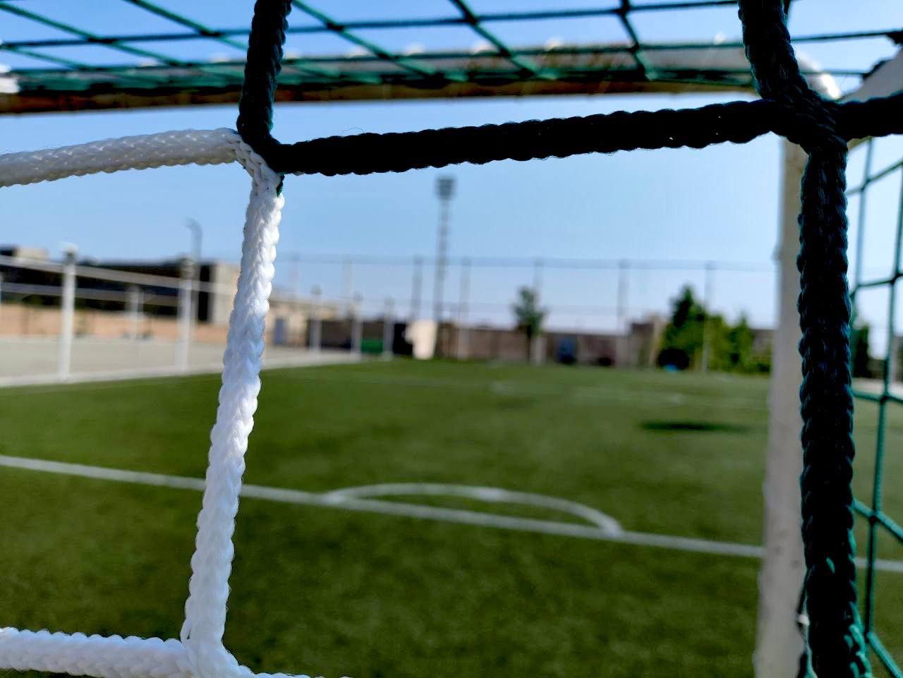 تصویر زمین چمن مصنوعی دانش تهران