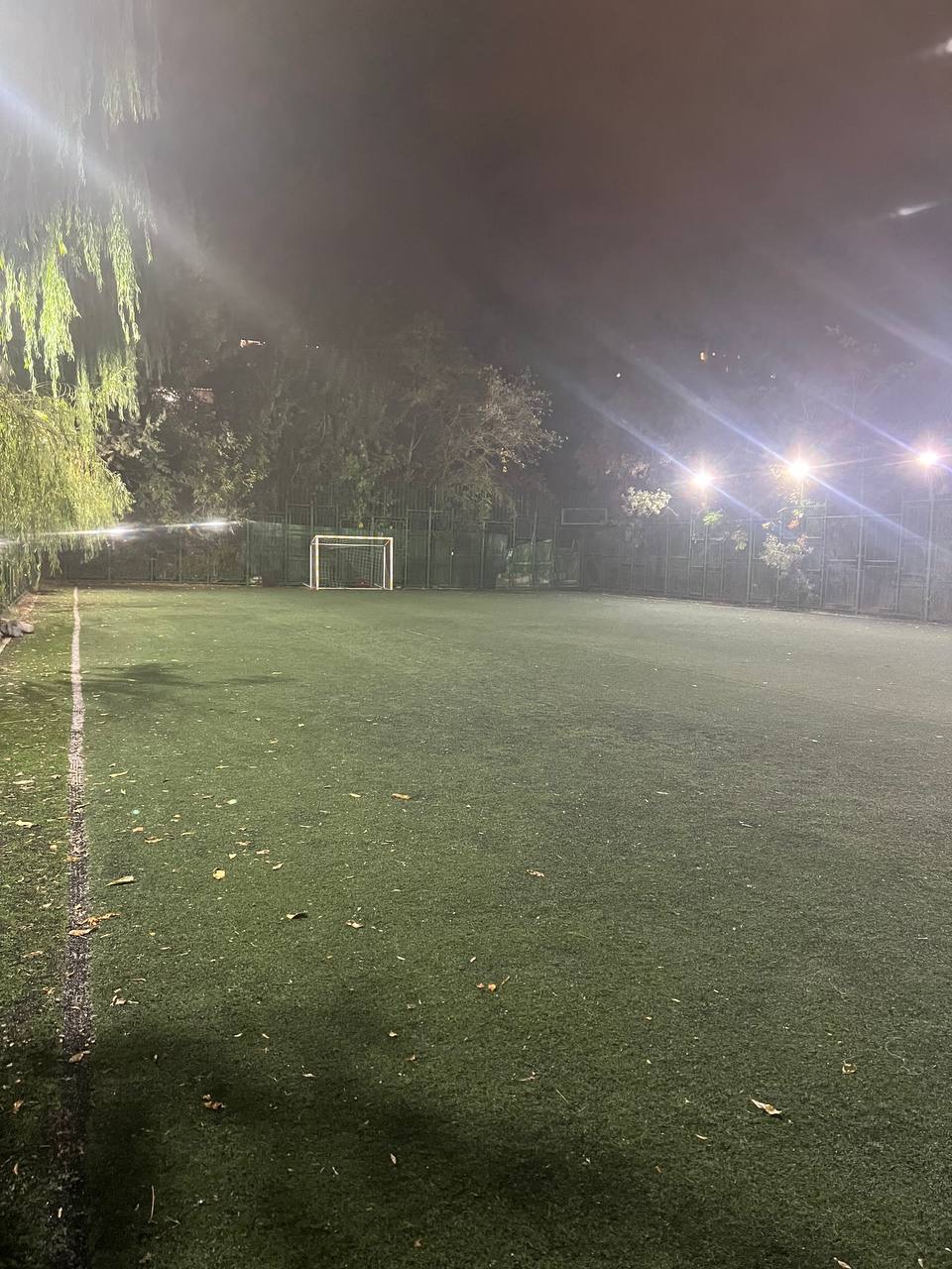 تصویر چمن مصنوعی امداد تهران