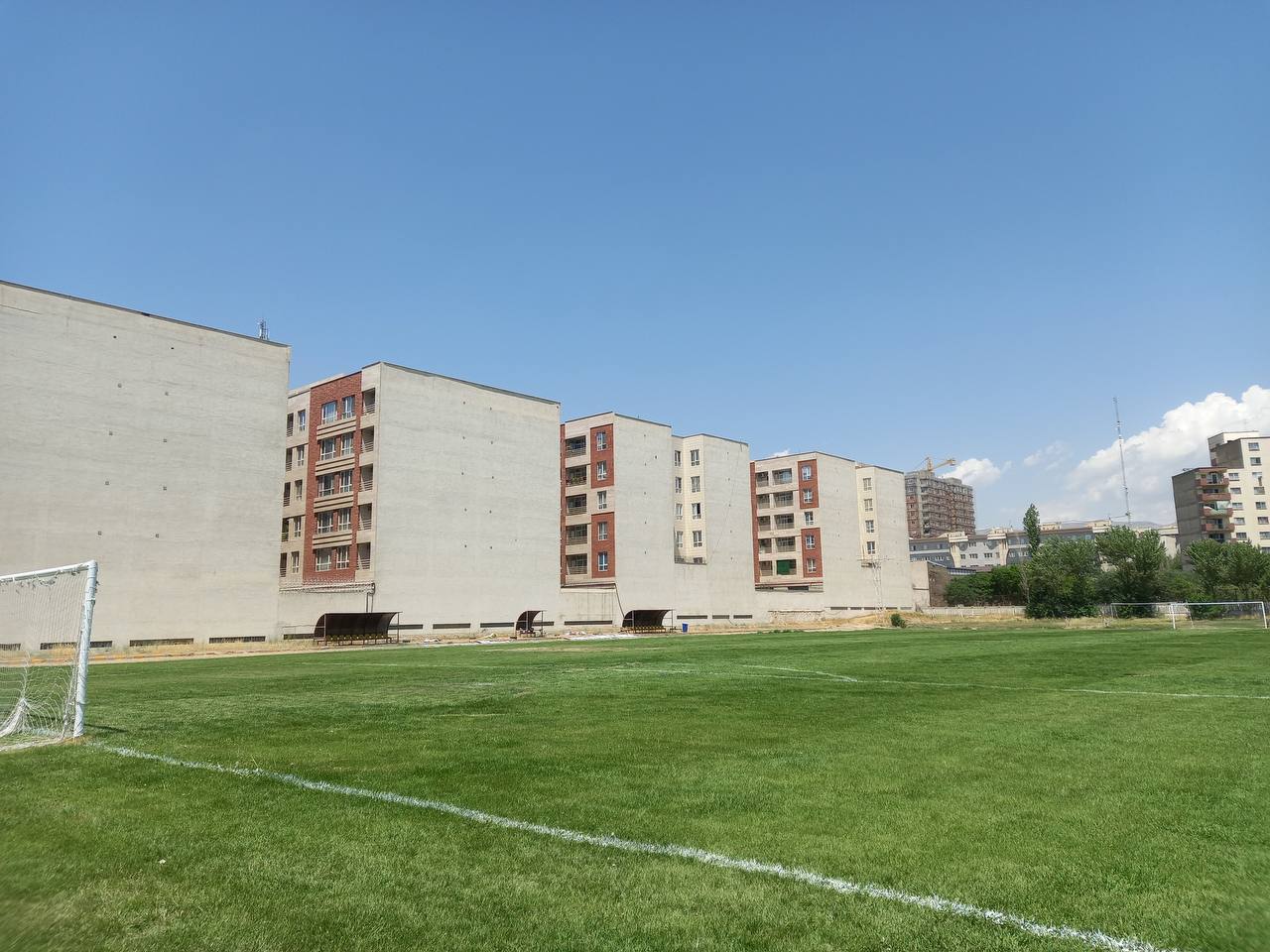 تصویر چمن طبیعی شهید فکوری تهران