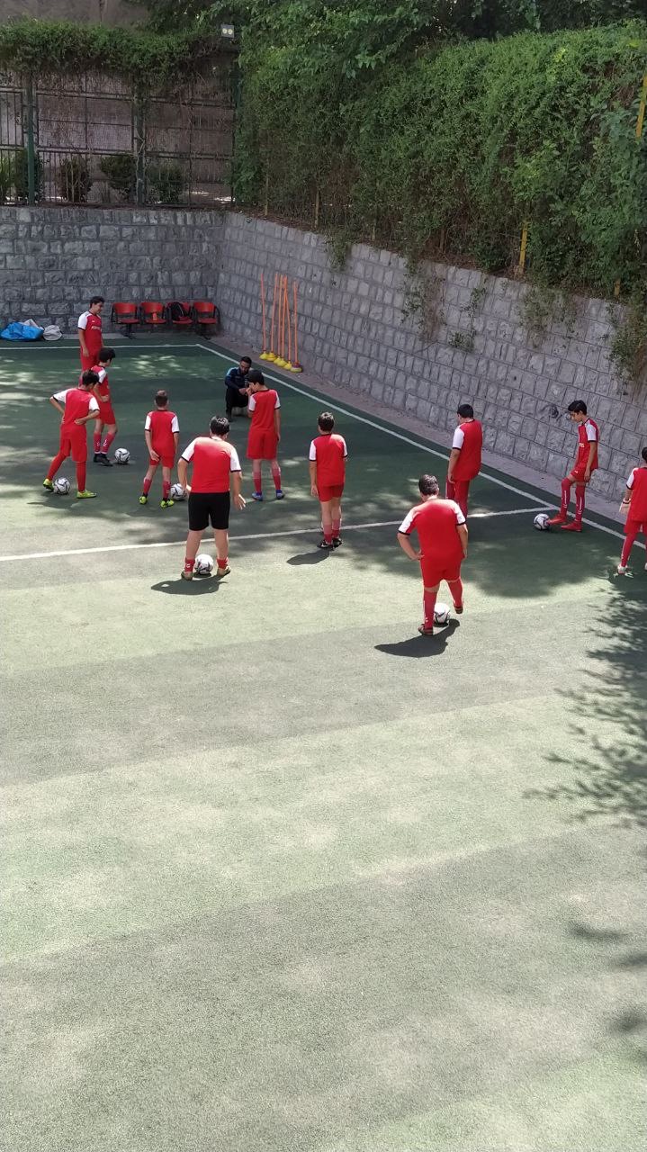 تصویر زمین چمن مصنوعی ولایت (پرسپولیس) تهران