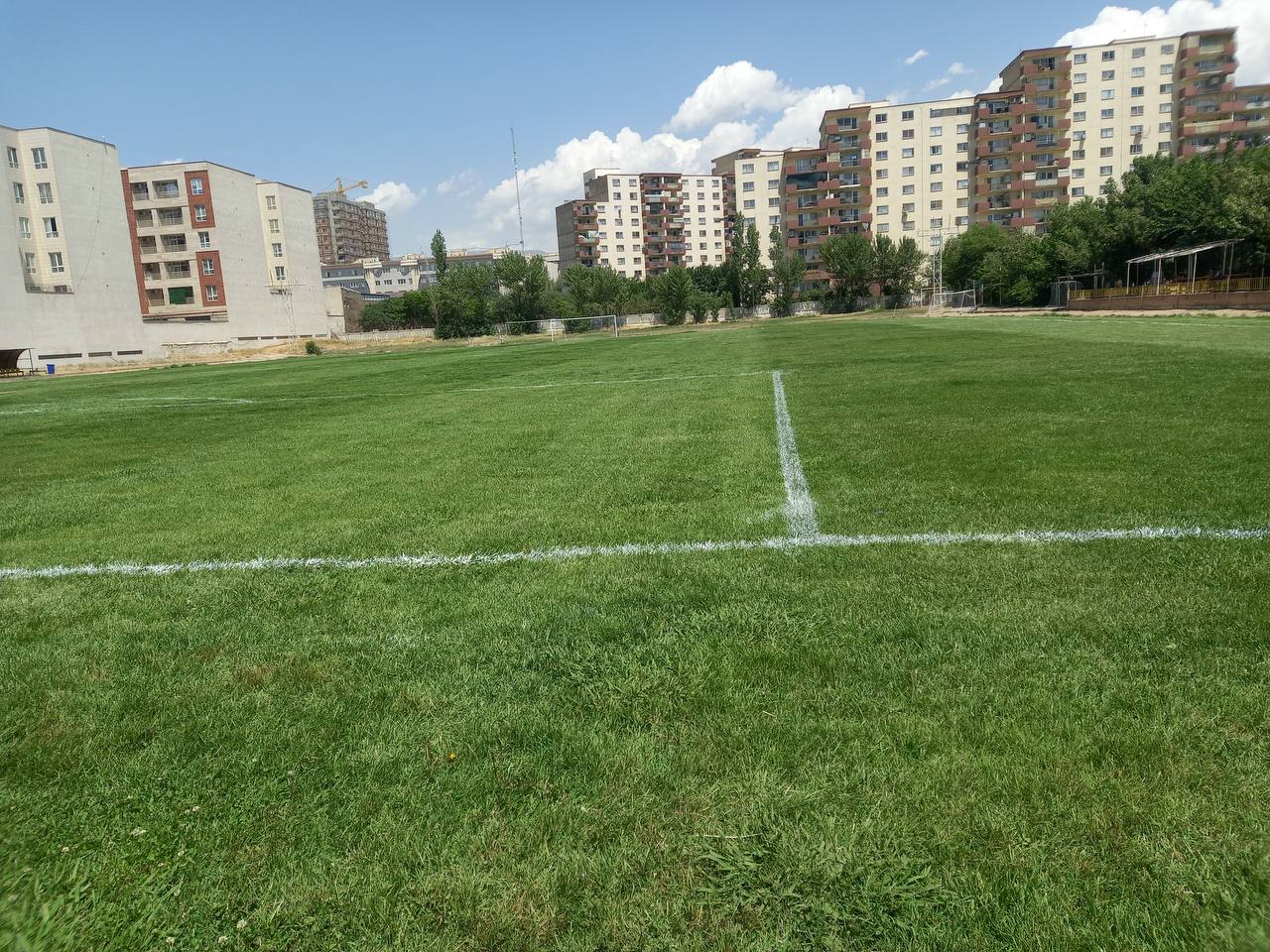 تصویر چمن طبیعی شهید فکوری تهران
