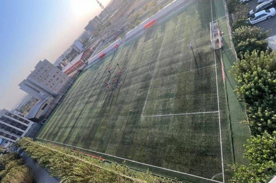 تصویر زمین چمن طبیعی شهدای وردآورد تهران