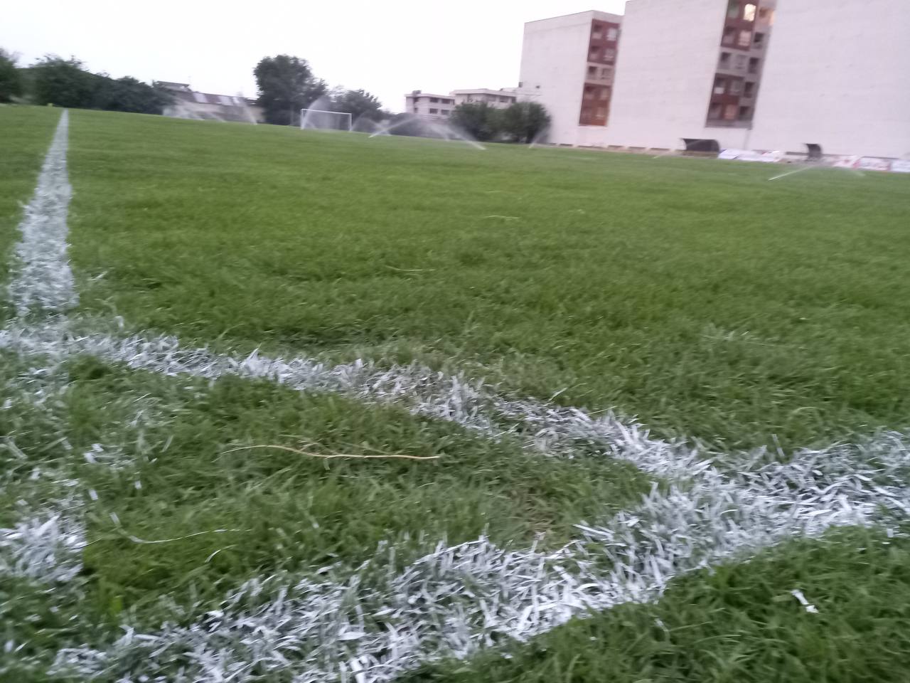 تصویر چمن طبیعی شهید فکوری تهران