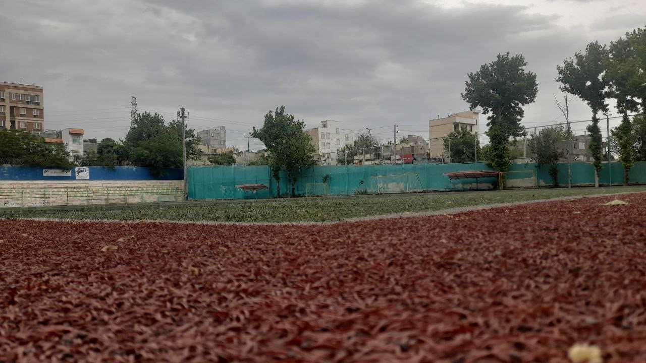 تصویر چمن مصنوعی گرگانی (دارایی) تهران