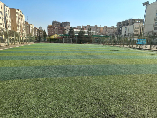 تصویر زمین چمن مصنوعی بیمه تهران