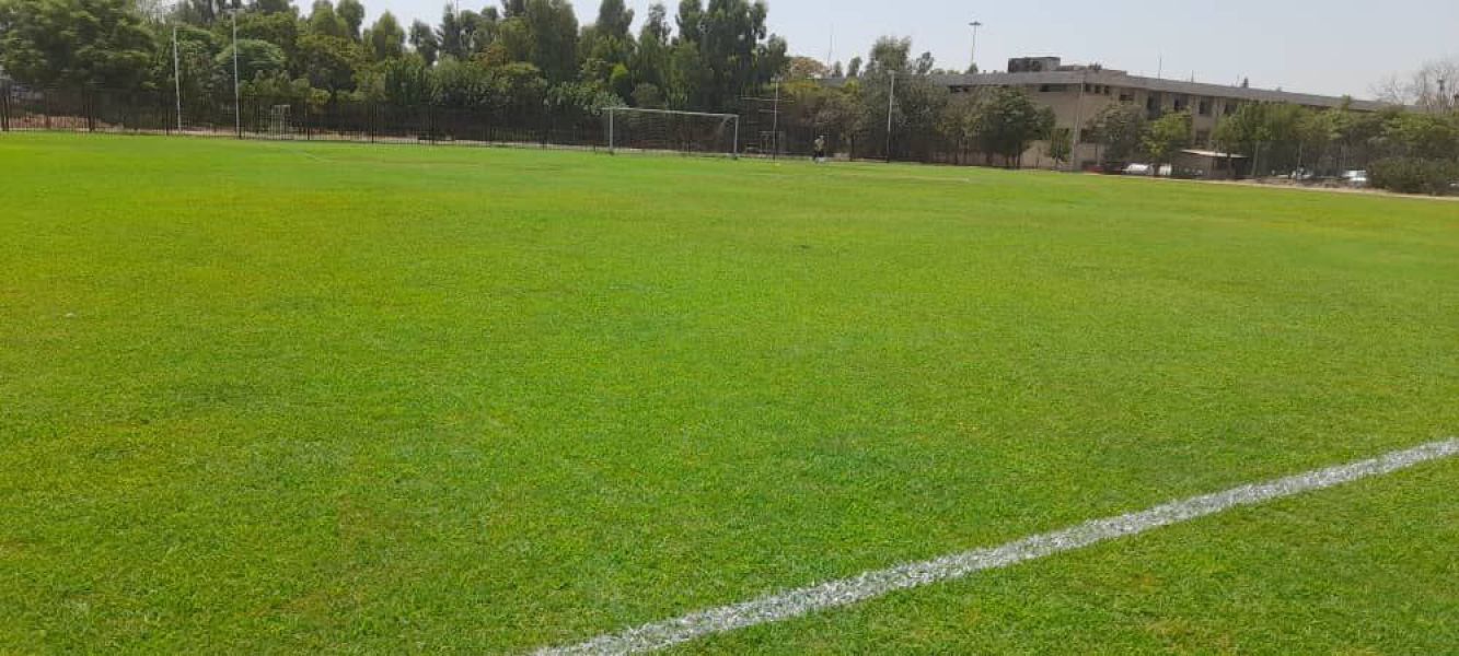 تصویر چمن طبیعی بزرگ شهید شاطری تهران