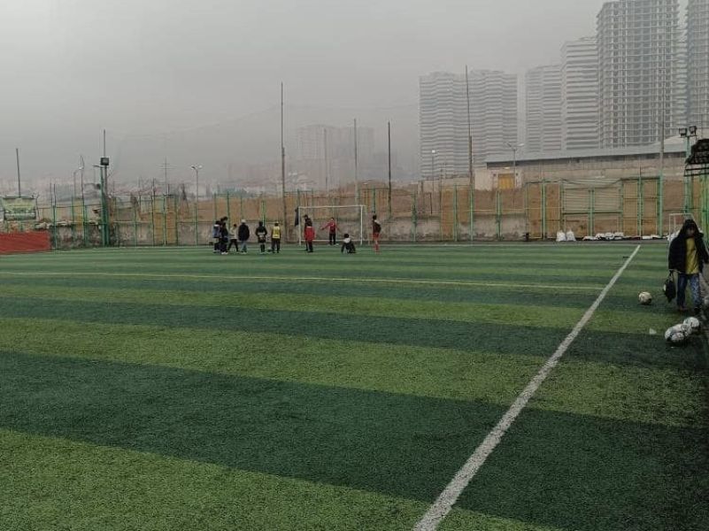 تصویر چمن مصنوعی نگین تهران
