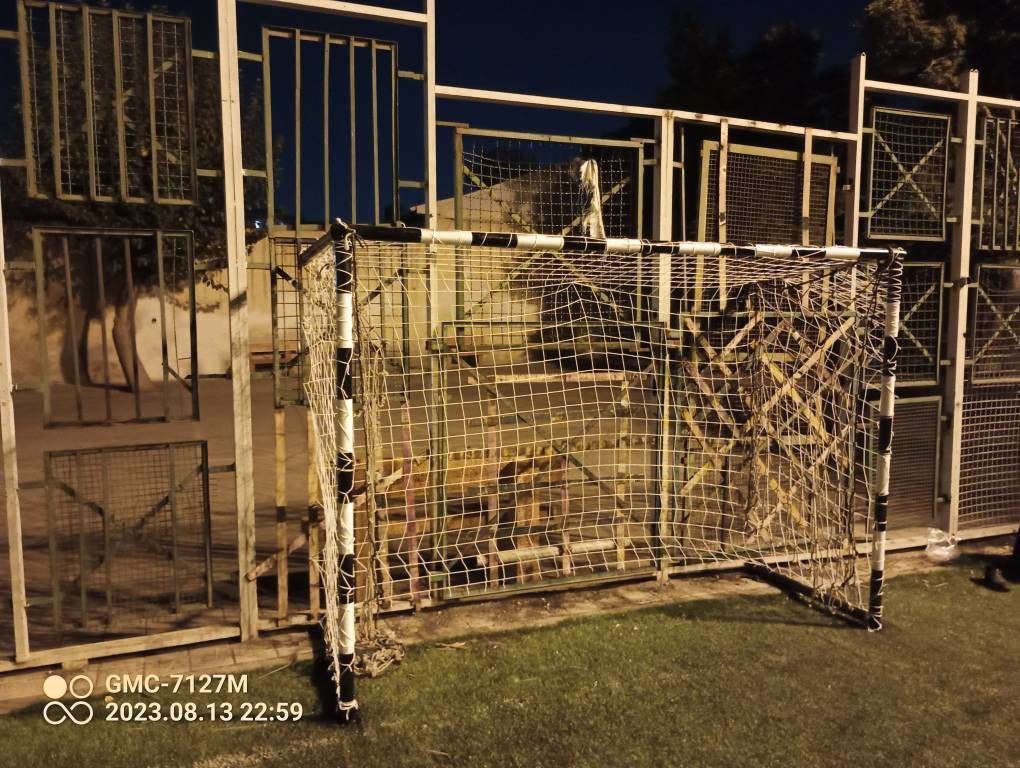 تصویر زمین چمن مصنوعی گل محمدی تهران