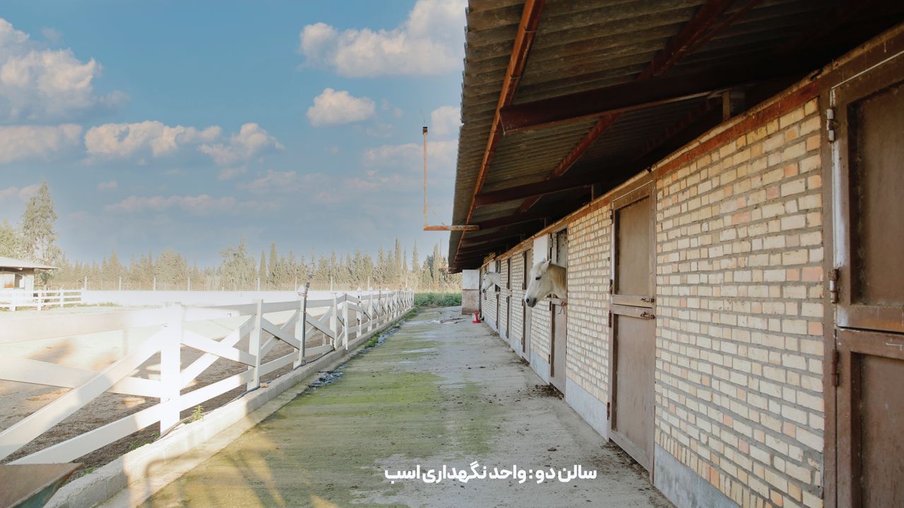 تصویر باشگاه سوارکاری شکوه طبیعت گرگان