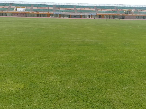 تصویر زمین چمن طبیعی امیر المومنین تهران