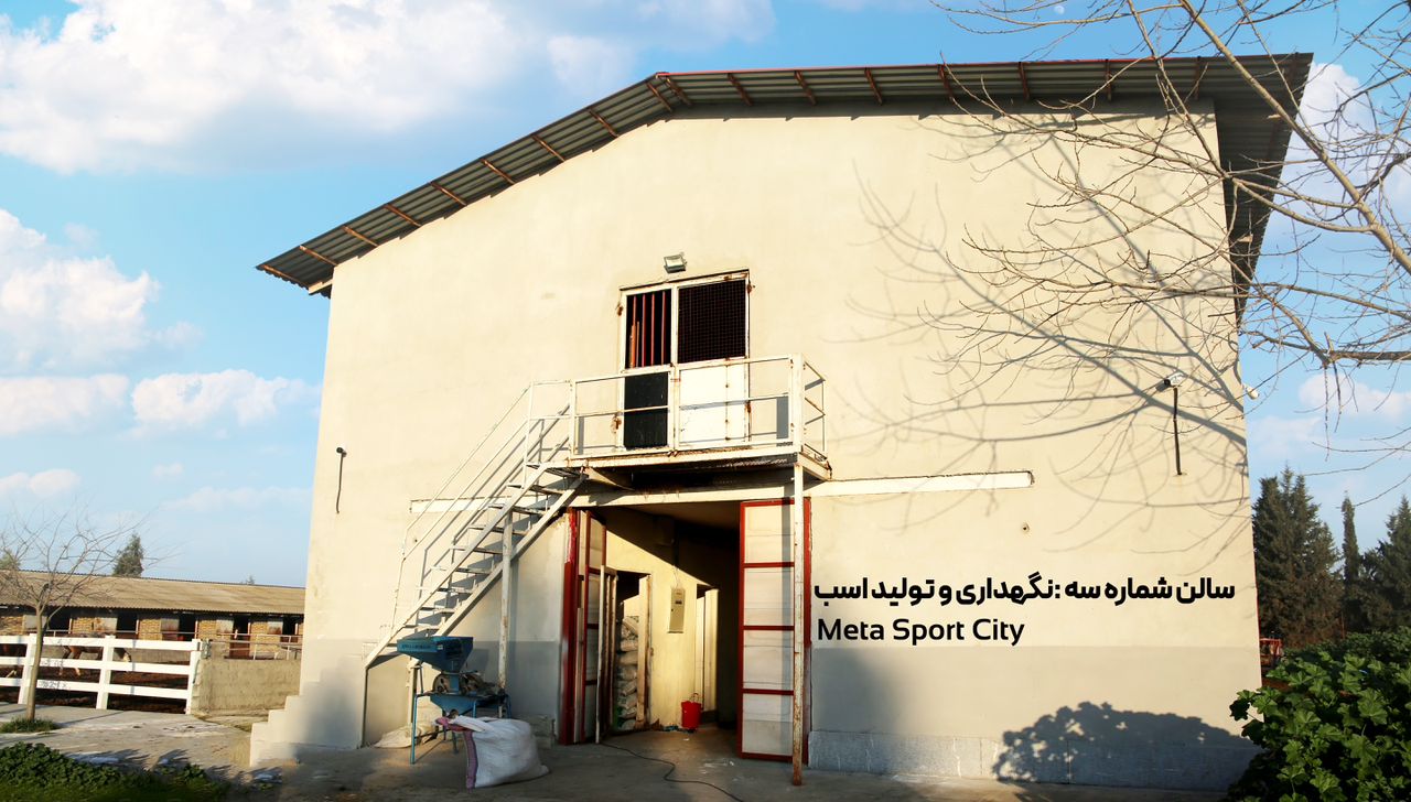 تصویر باشگاه سوارکاری شکوه طبیعت گرگان