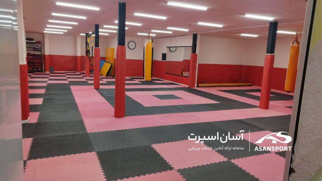تصویر باشگاه رزمی و هوازی فجر نوین تهران