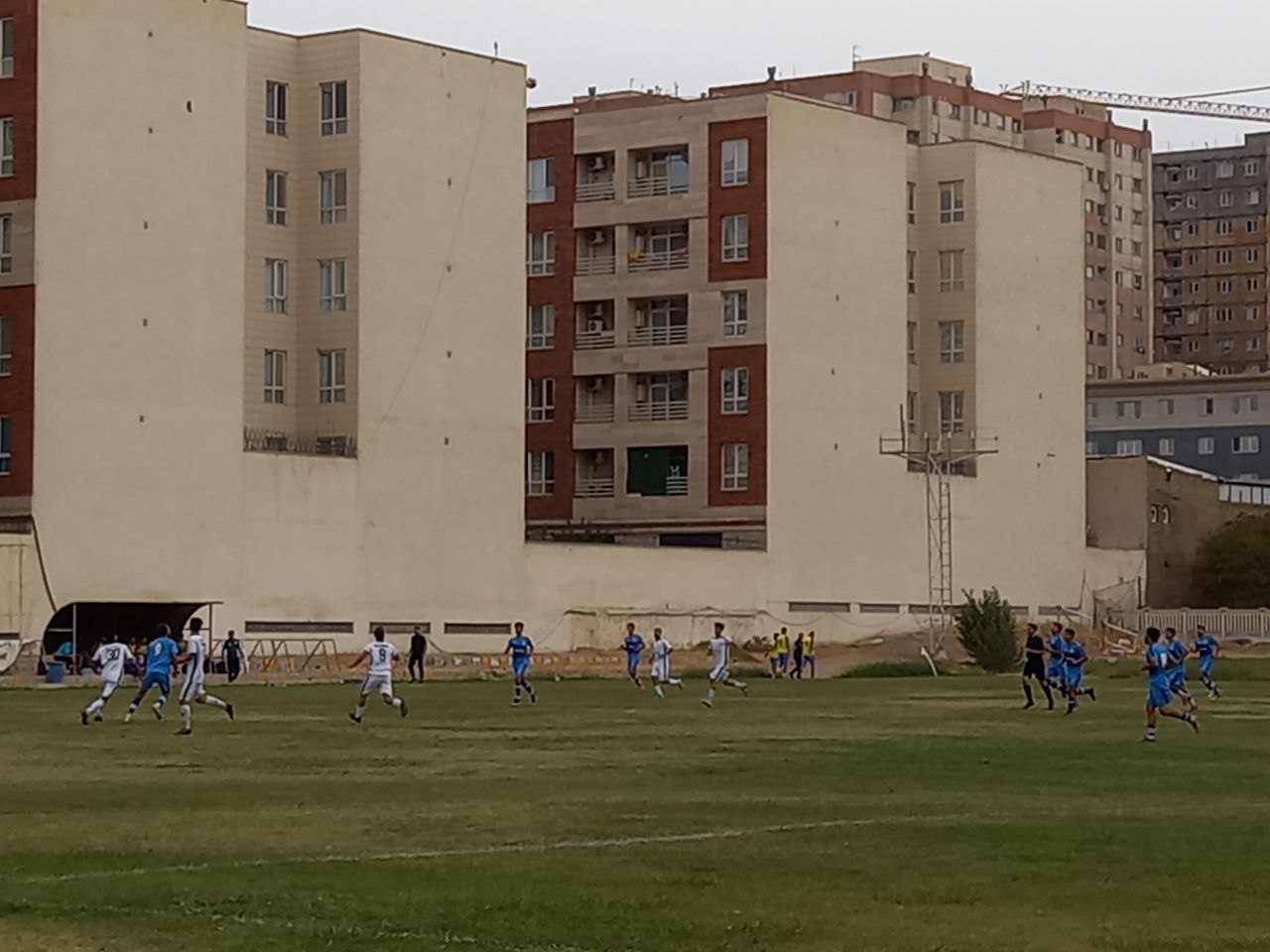 تصویر چمن طبیعی شهید فکوری تهران