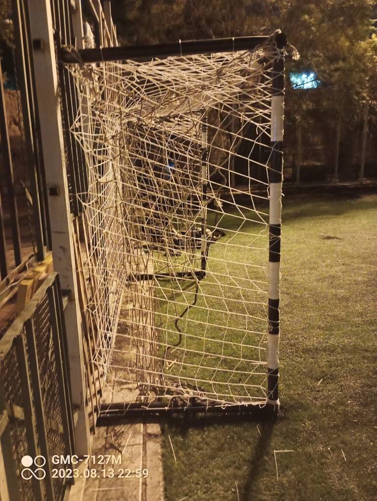 تصویر زمین چمن مصنوعی گل محمدی تهران