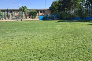 تصویر زمین ورزشی