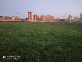 تصویر زمین ورزشی