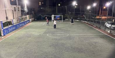 تصویر چمن مصنوعی شهدای دنا تهران