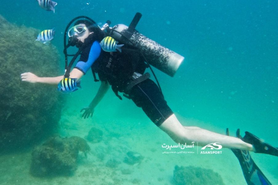 محمدمهدی نوازنی