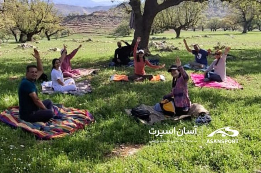 کلاس آنلاین یوگا زهرا عاشوری