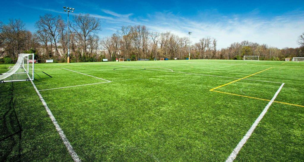 Soccer_Field_large