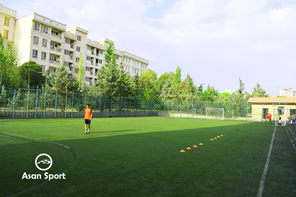 نمای گوشه 1 چمن مصنوعی نجم edit low