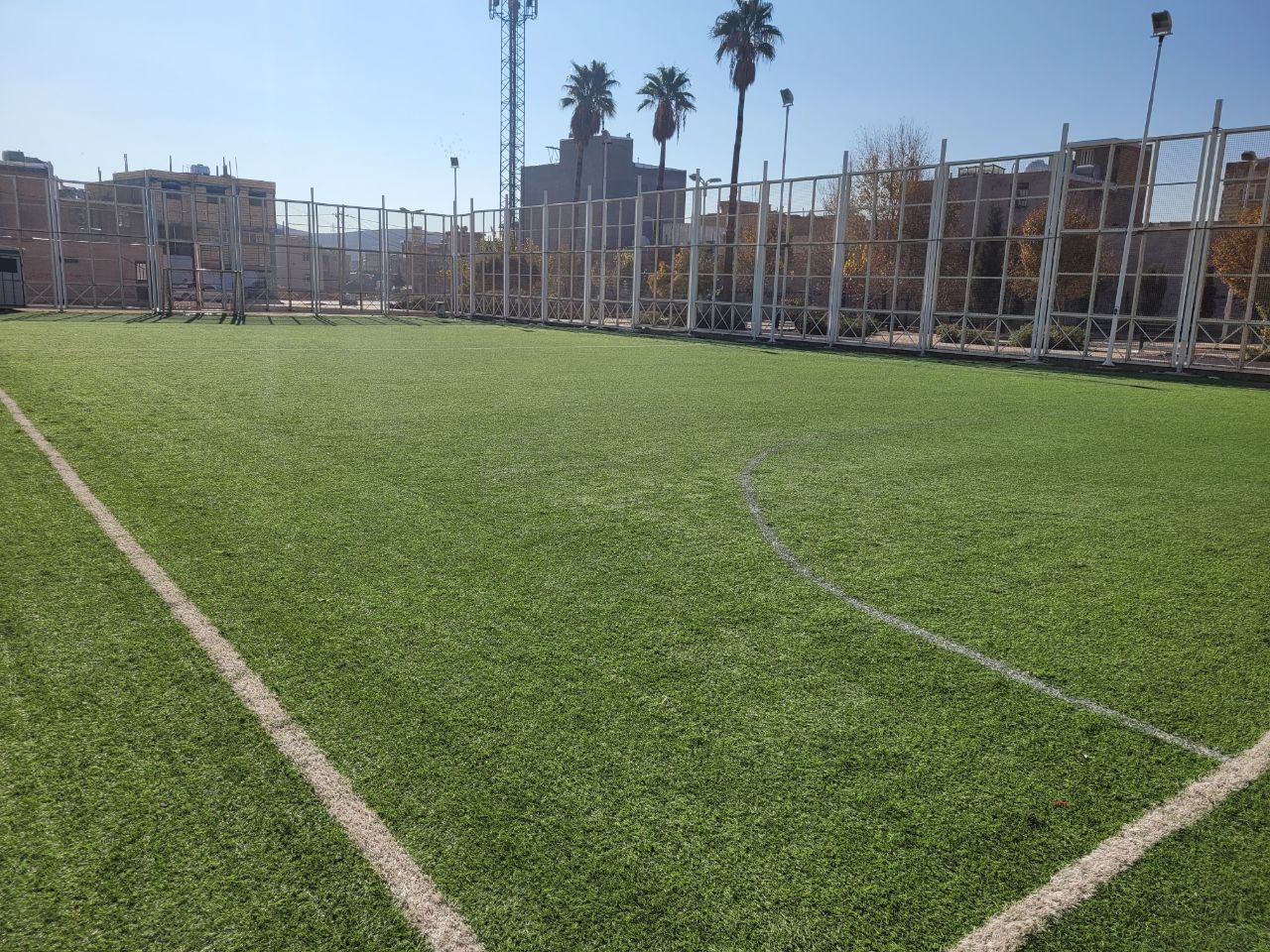 IMG_20221219_095051_766