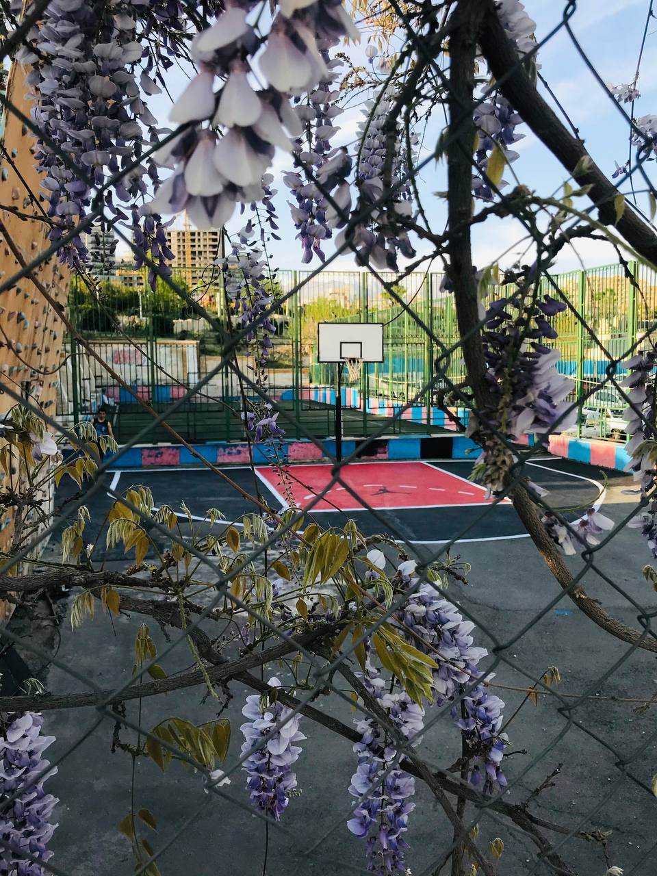 photo_2024 07 21_13 39 03