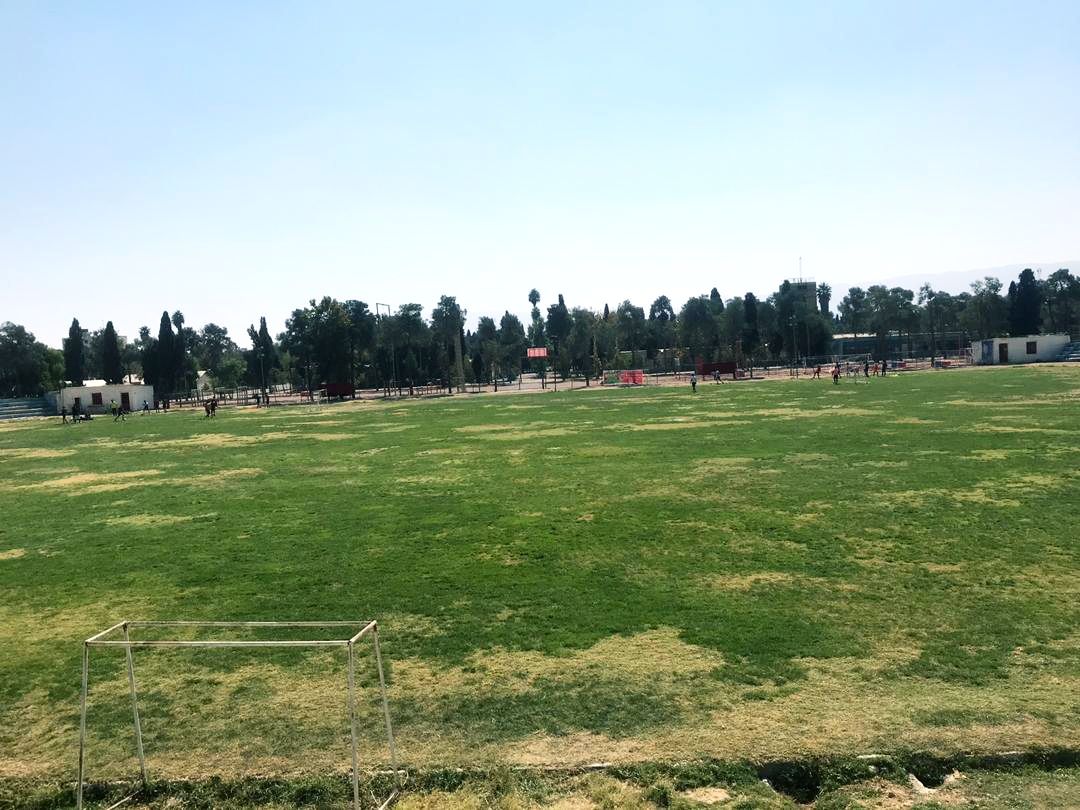 IMG_20201023_165247_750