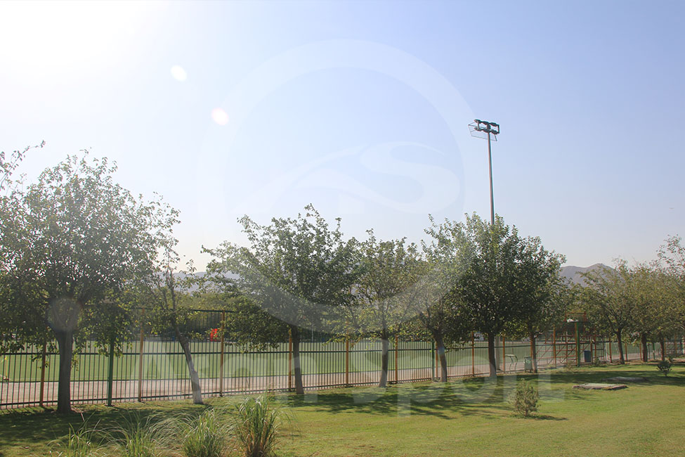 زمین چمن آزادگان1