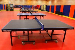 تصویر زمین ورزشی