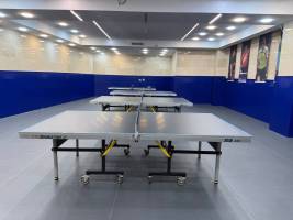 تصویر زمین ورزشی