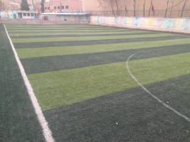 تصویر زمین ورزشی